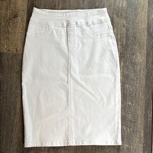The Main Street Exchange Sarah Denim Skirt 4